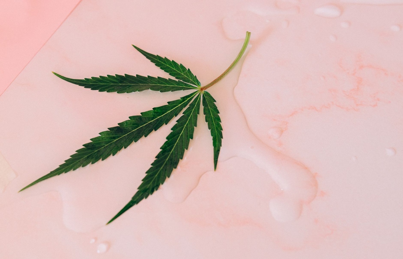 Michigan Cannabis Risk and Financial Association (MCRFA)