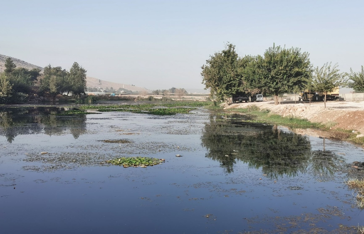 MDARD Aquatic Pest Management (Category 5) Practice