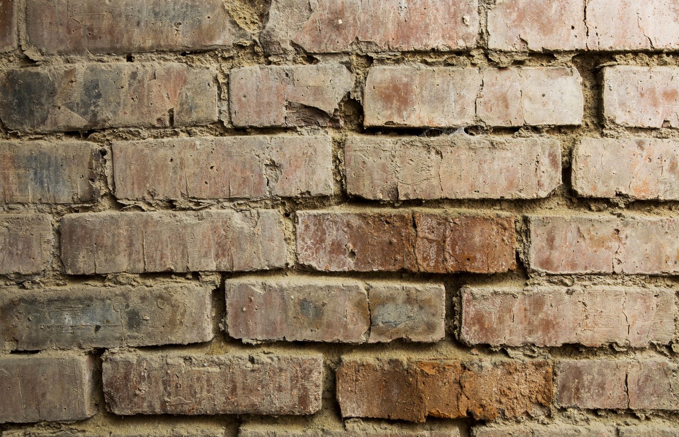 Maryland Masonry NOCTI