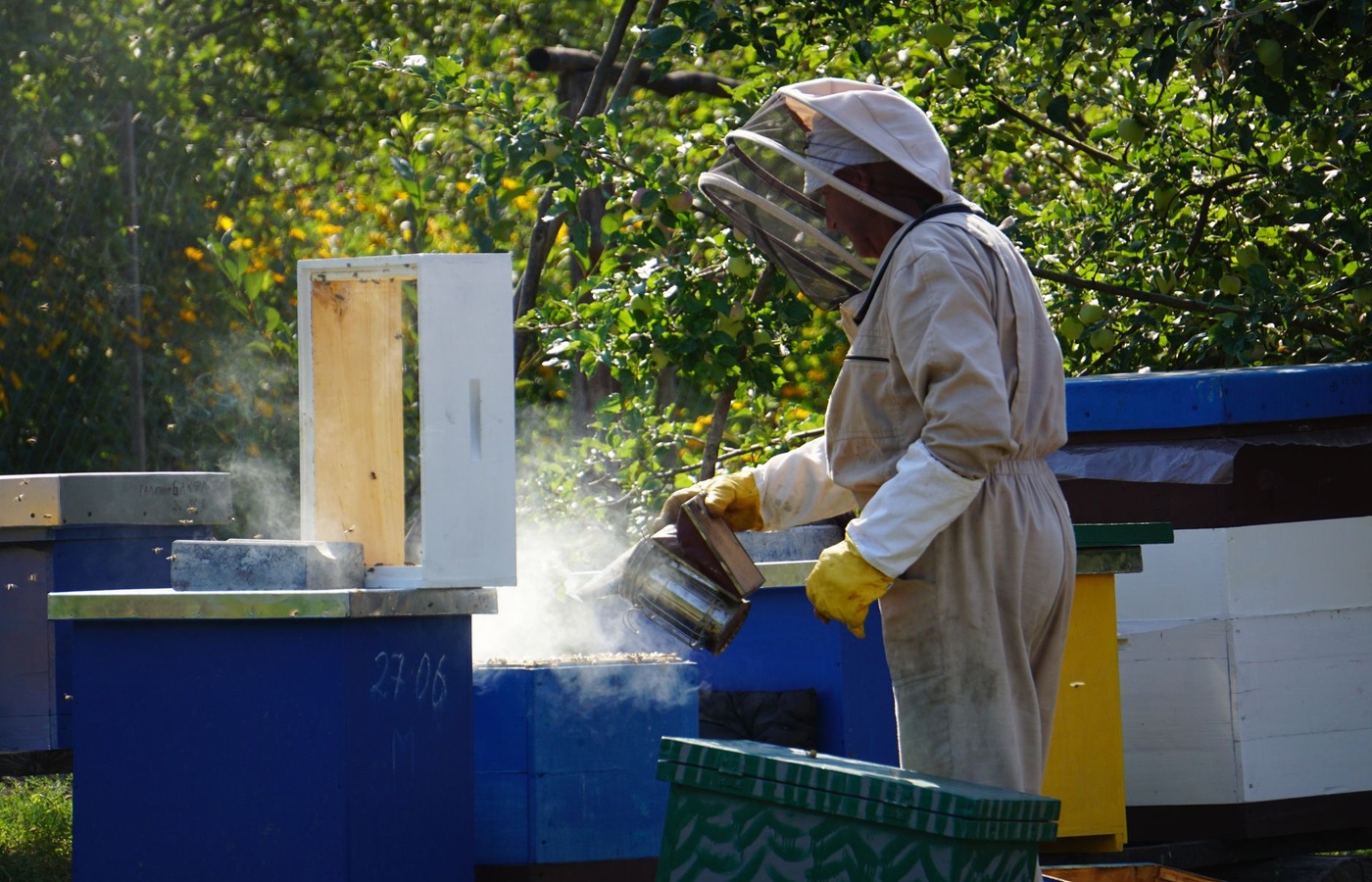Maryland Pesticide Applicator Category 8: Public Health (Mosquito Control)