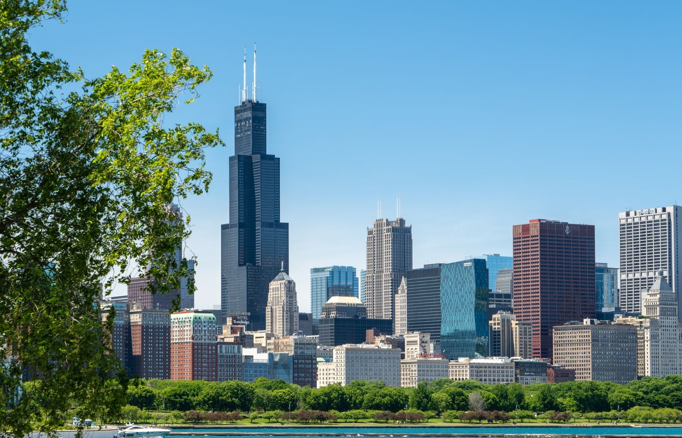 Michigan License Law