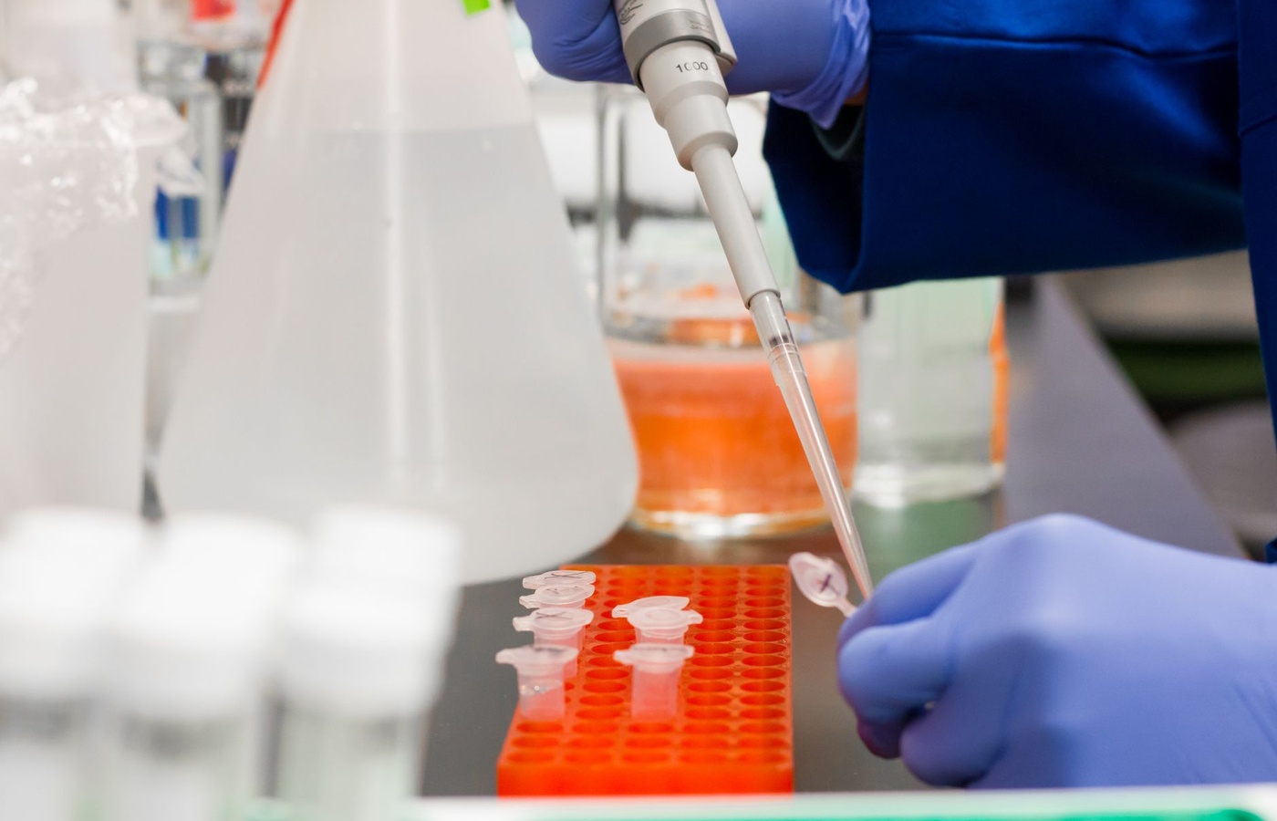 Microbiology Lab Practical