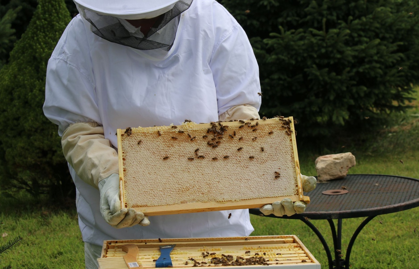 Michigan General Pest Management 7A