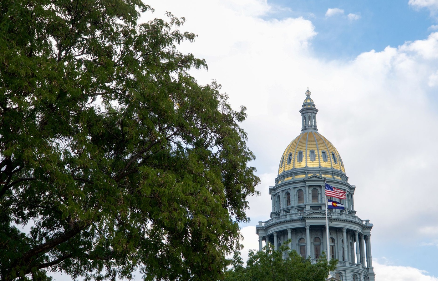 Minnesota Civics