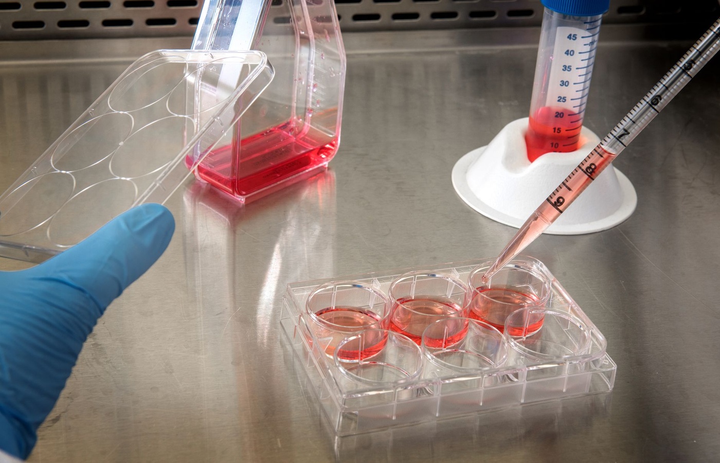 Molecular and Cellular Biology Exam 1 Practice