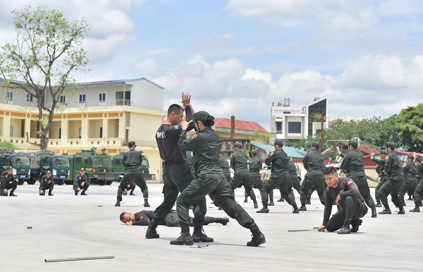 MPTC Use of Force