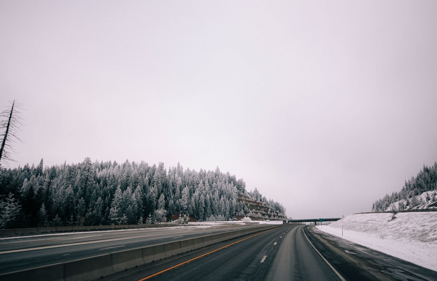 Montana State Drivers Manual Research