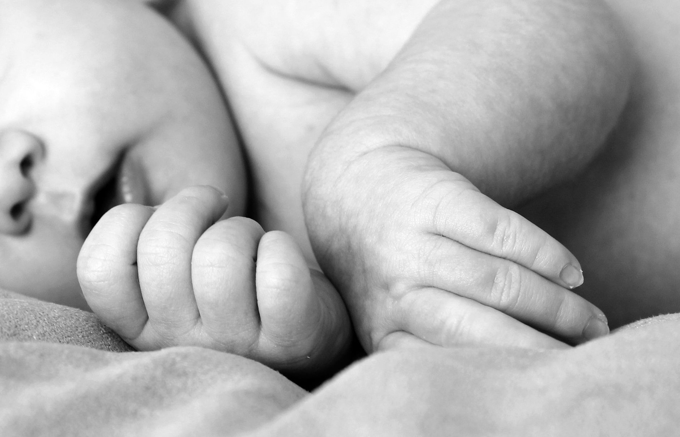 North American Registry of Midwives (NARM)