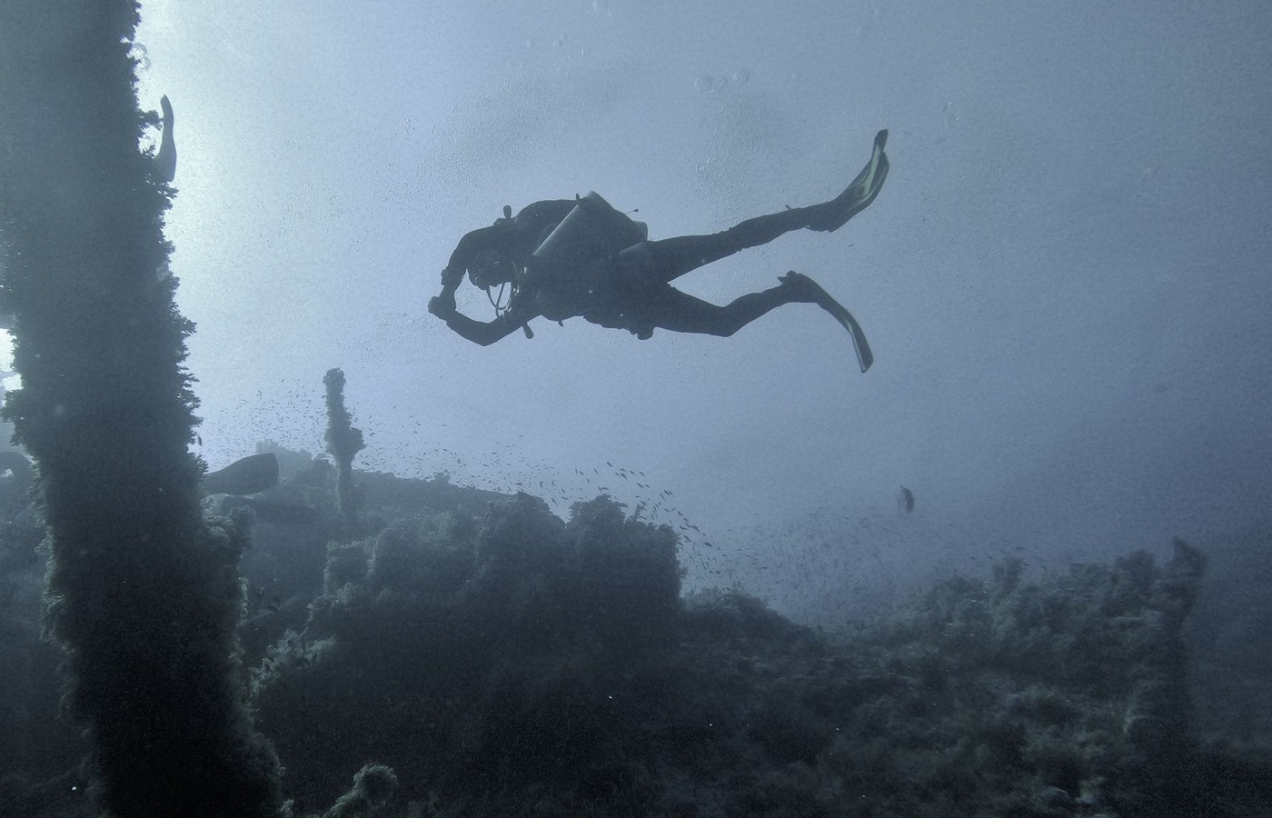 NAUI Open Water E-learning