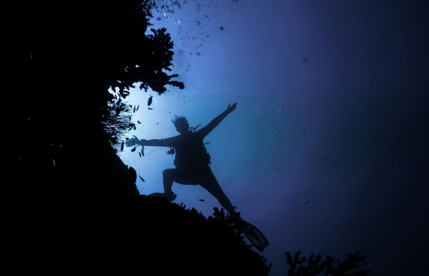NAUI Scuba Diver
