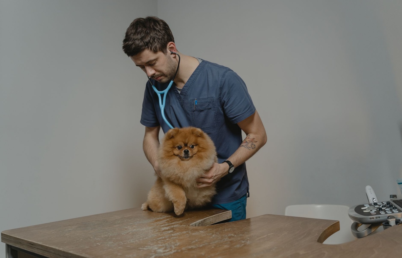 Examzify course visual