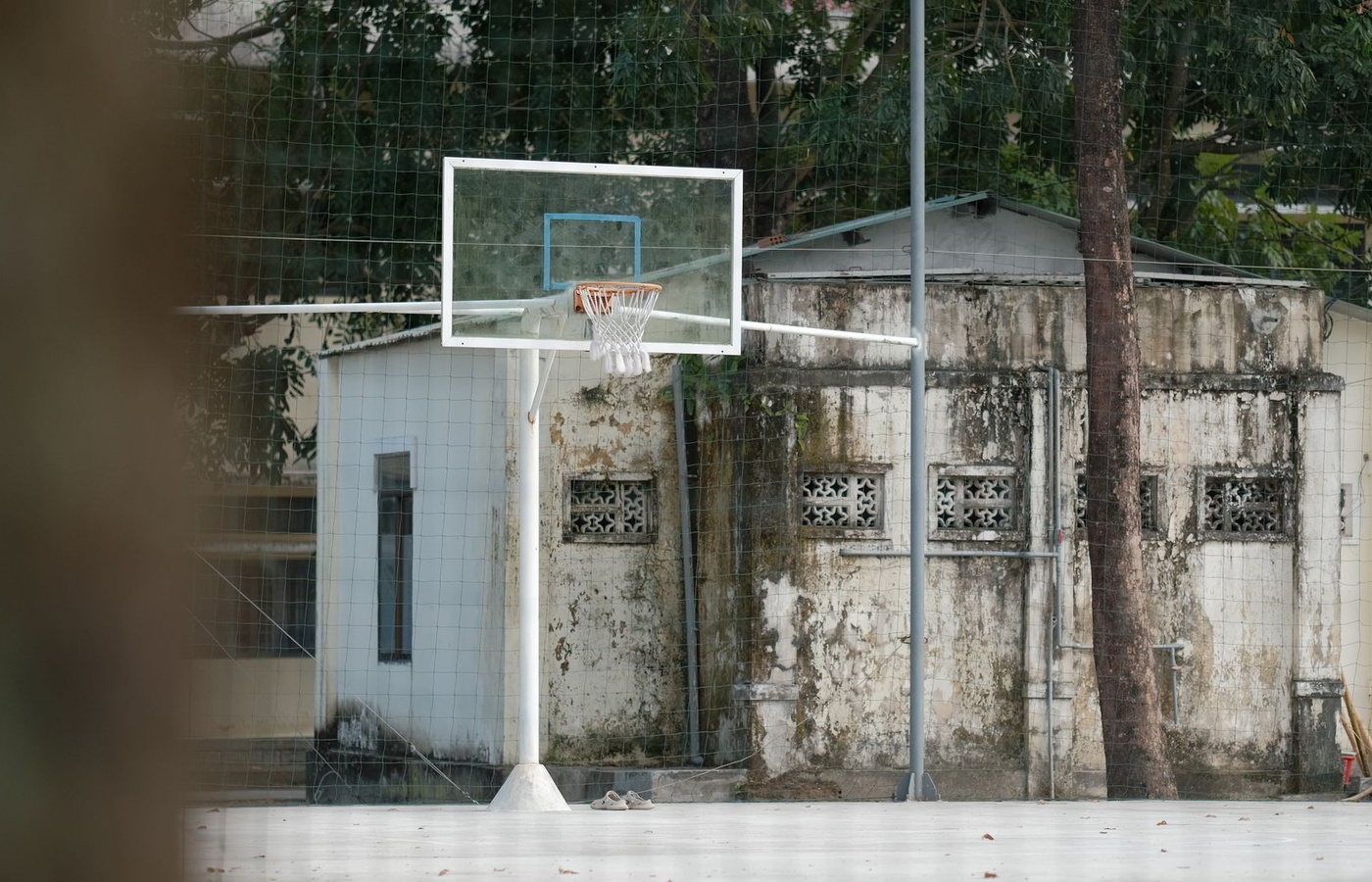 NCAA Basketball