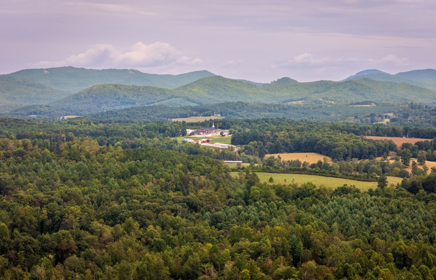 North Carolina Envirothon Forestry