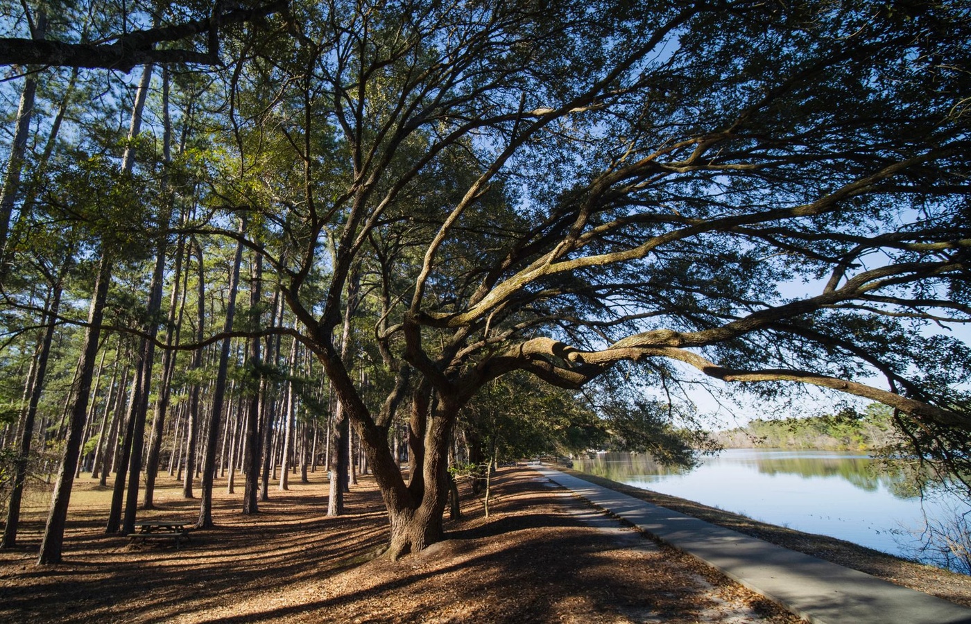 North Carolina Surface Water