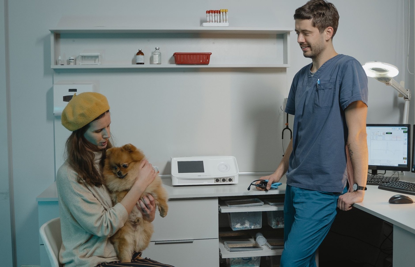 North Carolina Veterinary Board