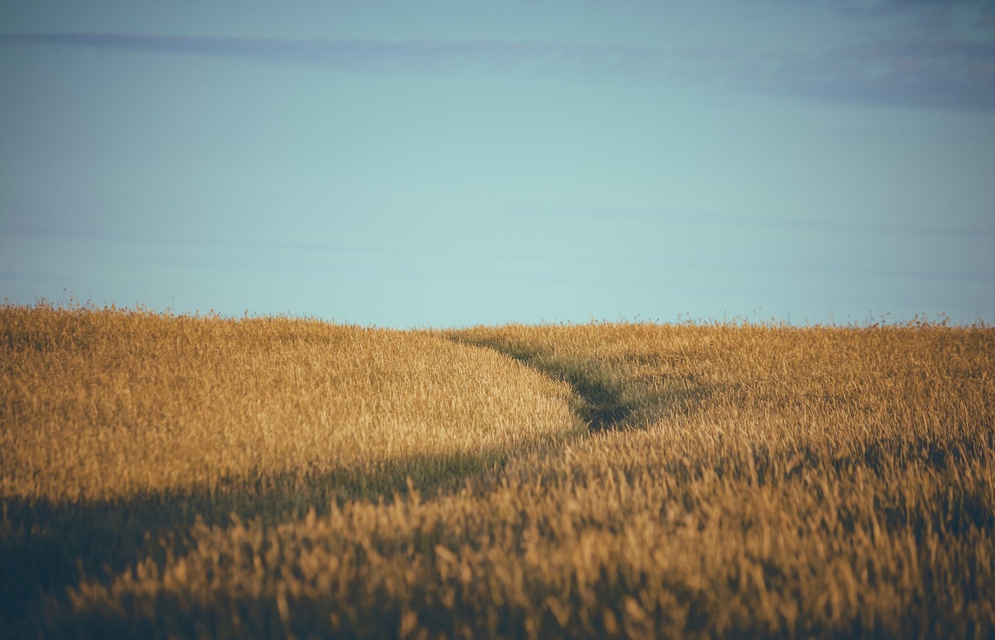 North Dakota Property