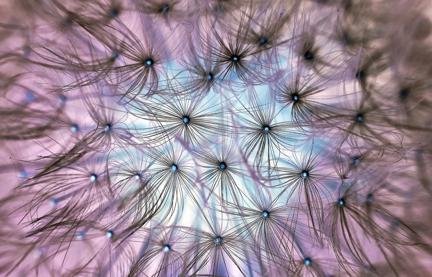 Neurons, Nervous System, and Signal Transmission