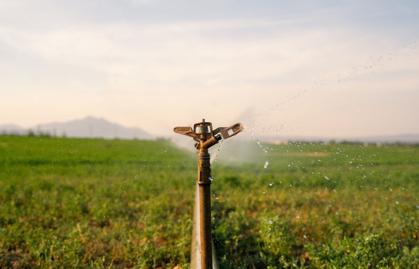 NFPA 16: Standard for the Installation of Foam-Water Sprinkler and Spray Systems