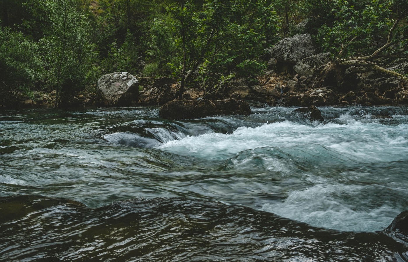 New Mexico Water Sampling Certification