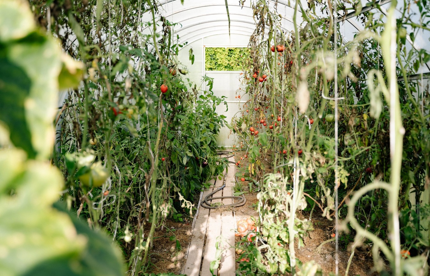 NOCTI Horticulture