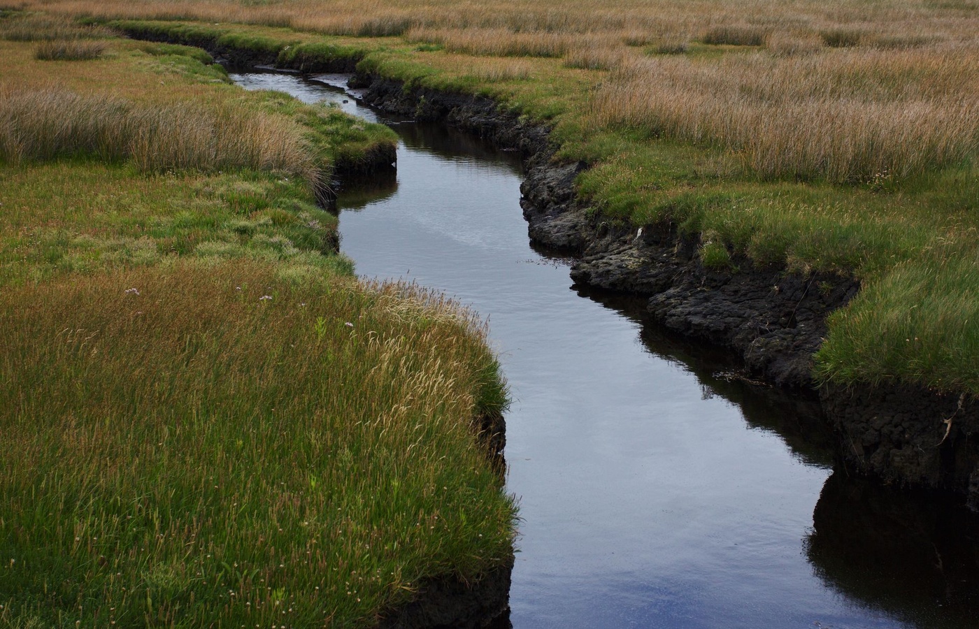 Non-Point Source Pollution Envirothon