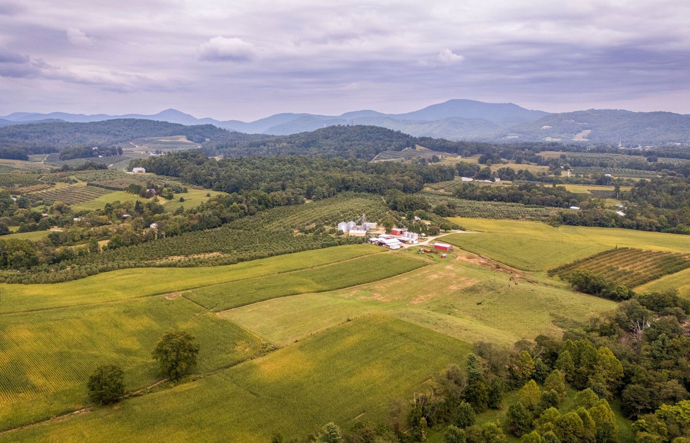 North Carolina Life Insurance