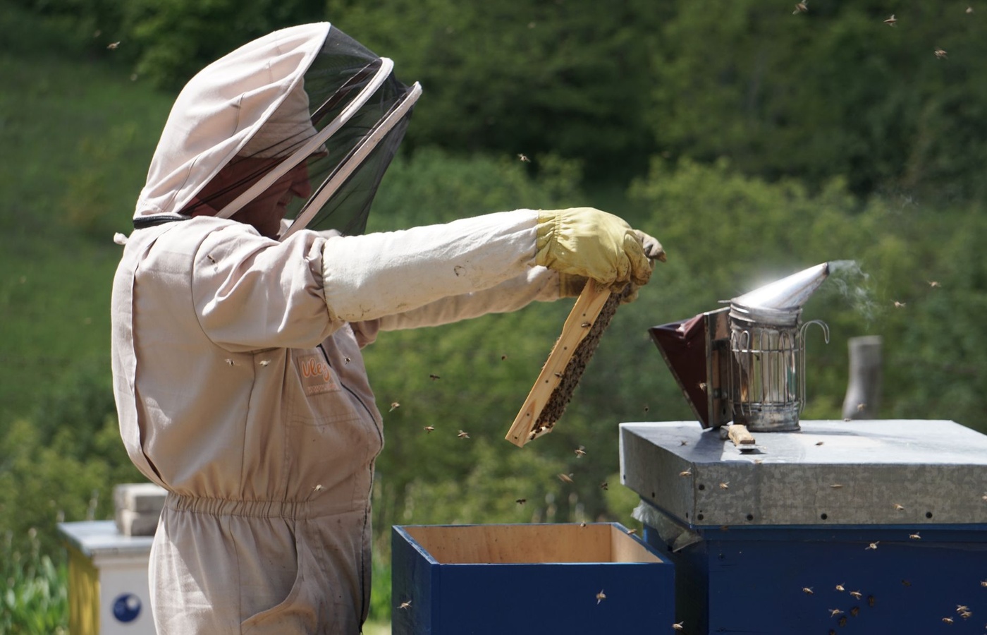 North Carolina Bee School