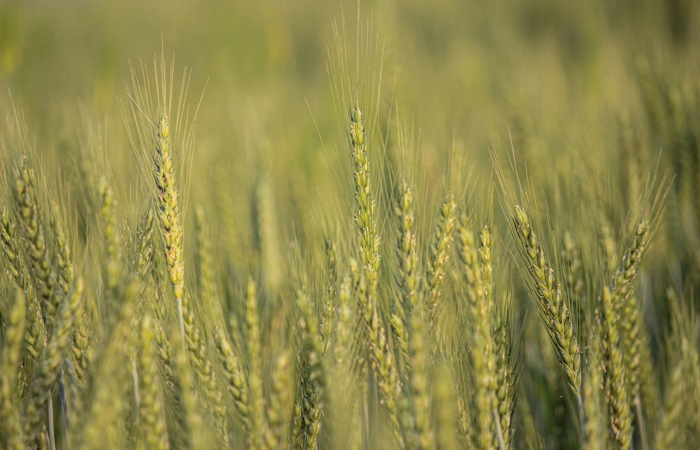 Nova Scotia Pesticide Applicator