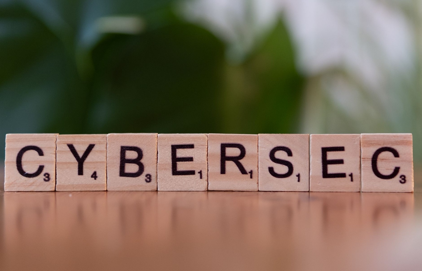 Network Security Vulnerability Technician (NSVT) Module 4