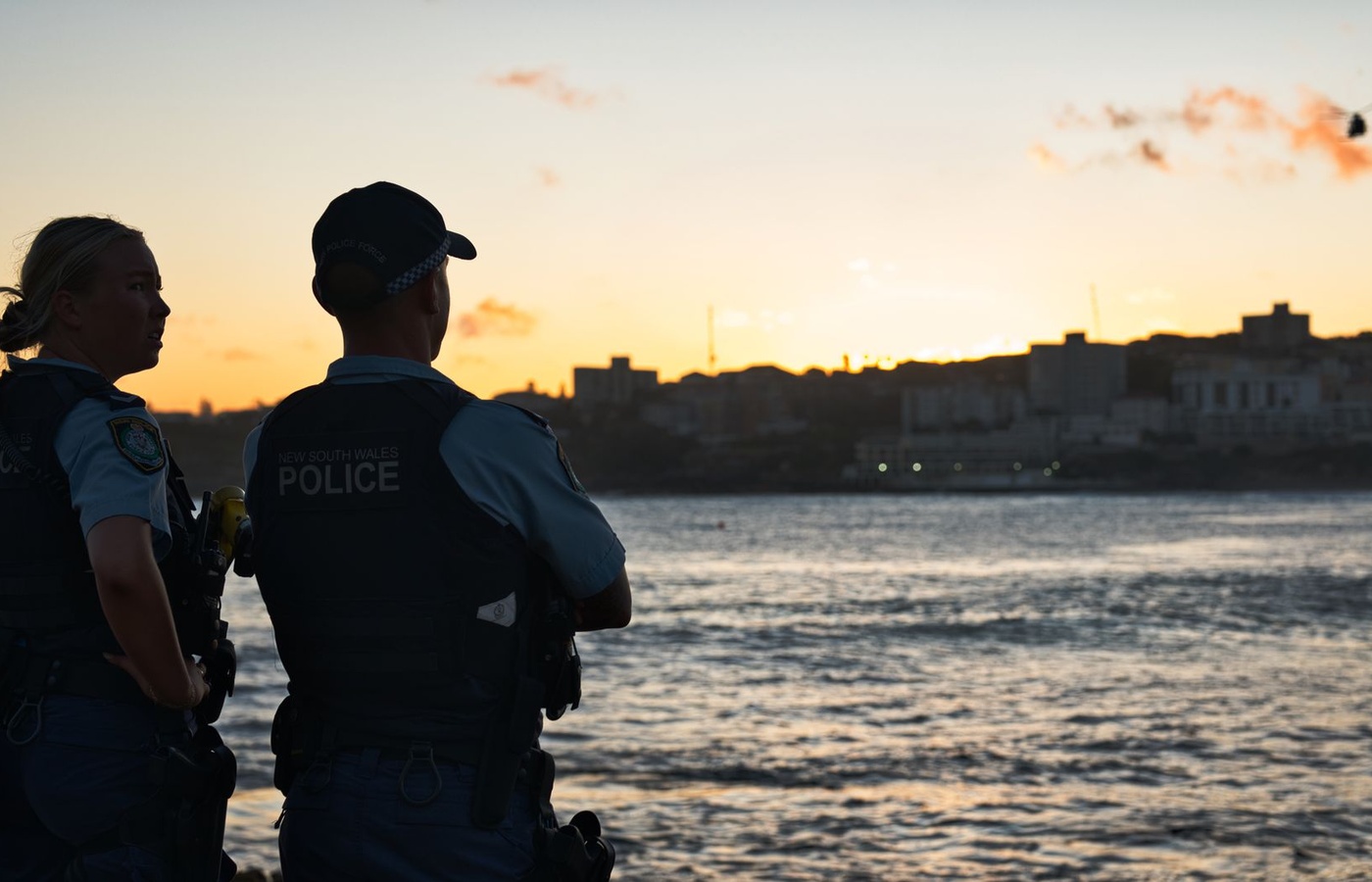 New South Wales Police Force Law