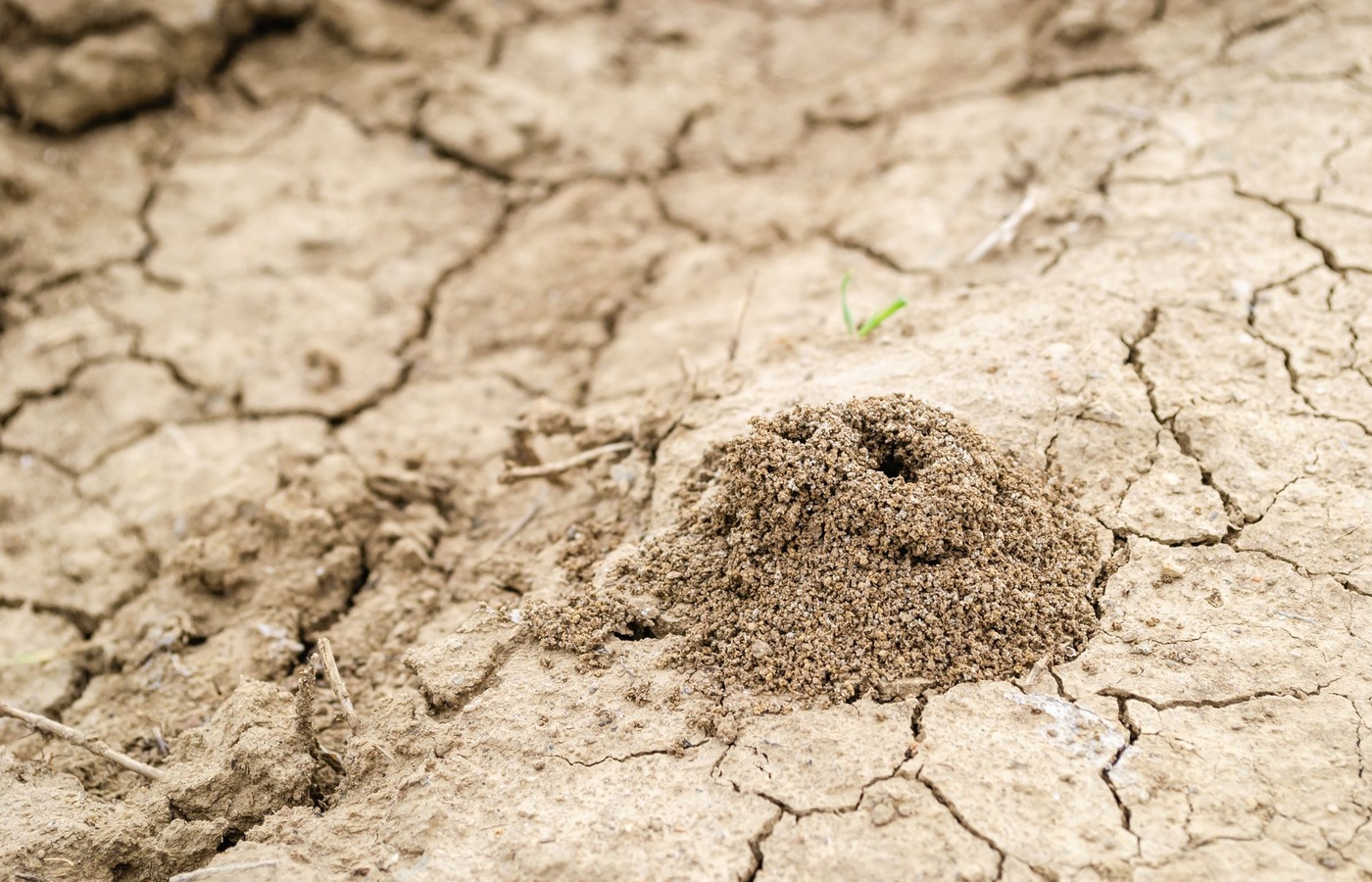 NRCM Nutrient Cycling