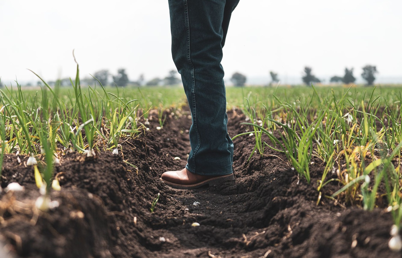 Nutrient Management Consultant