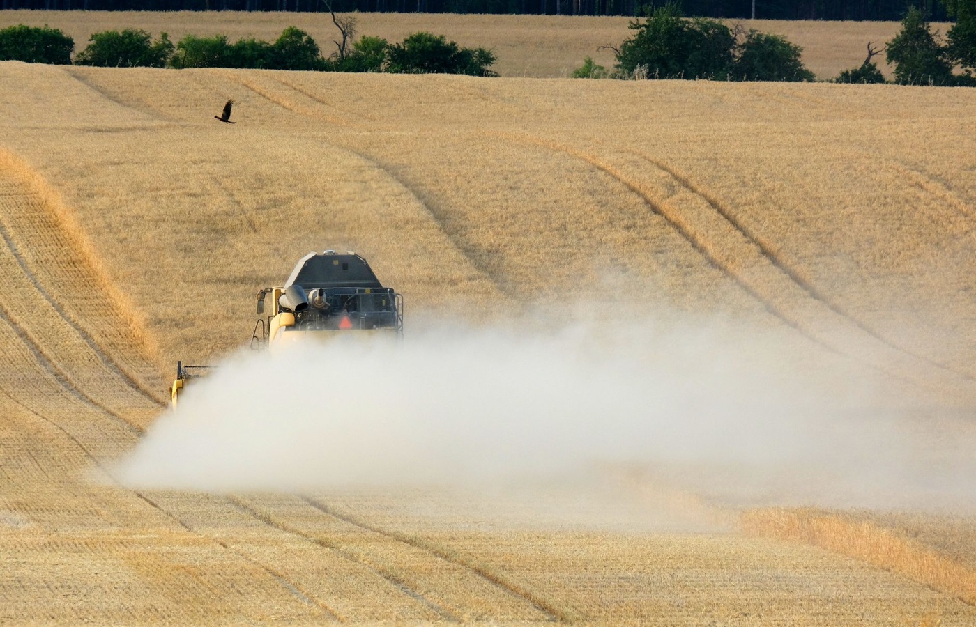 Nevada Aerial and Agricultural Ground Pest Control