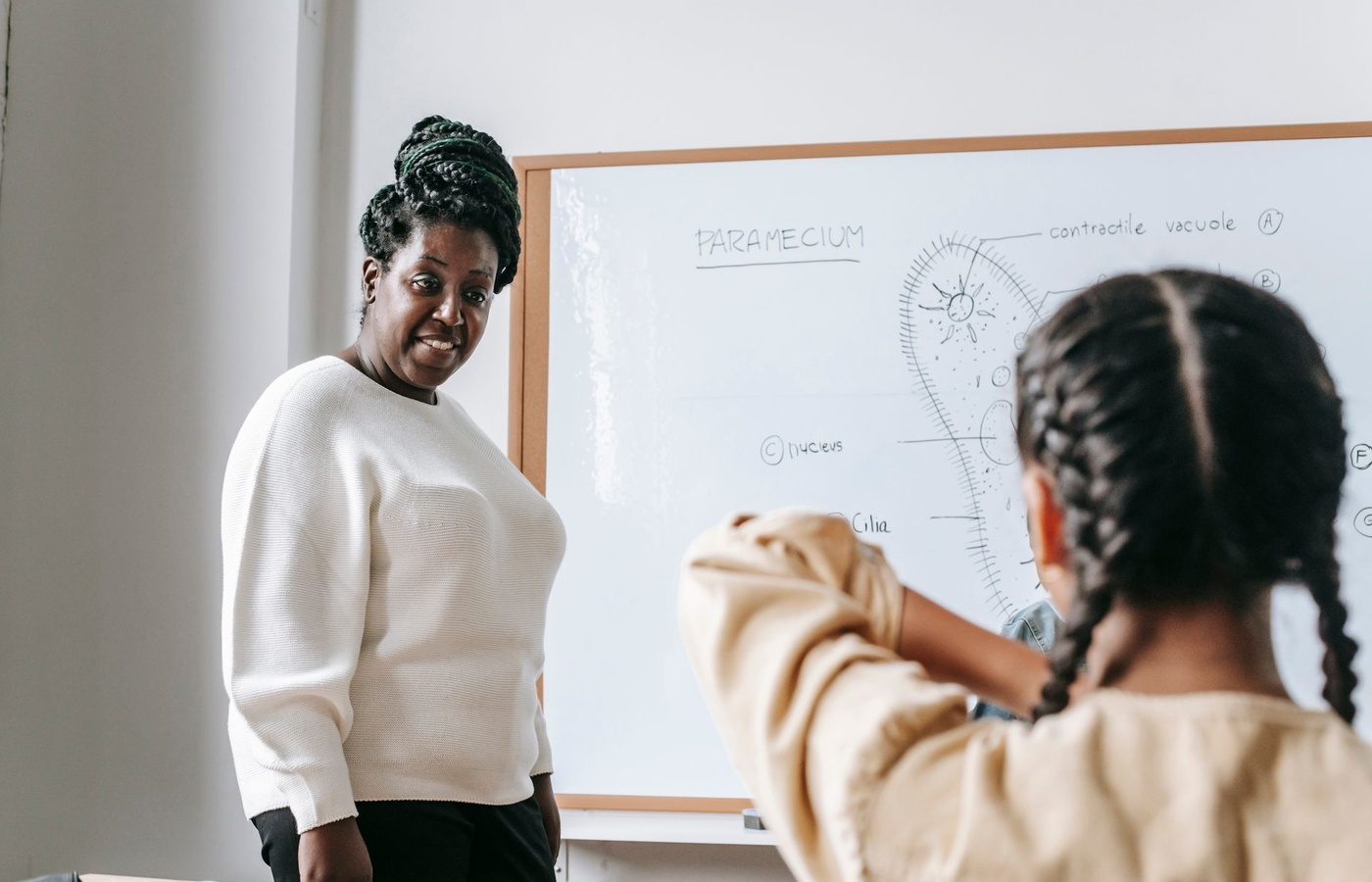 NVCI Behavior Management, Communication, and Restraint Principles