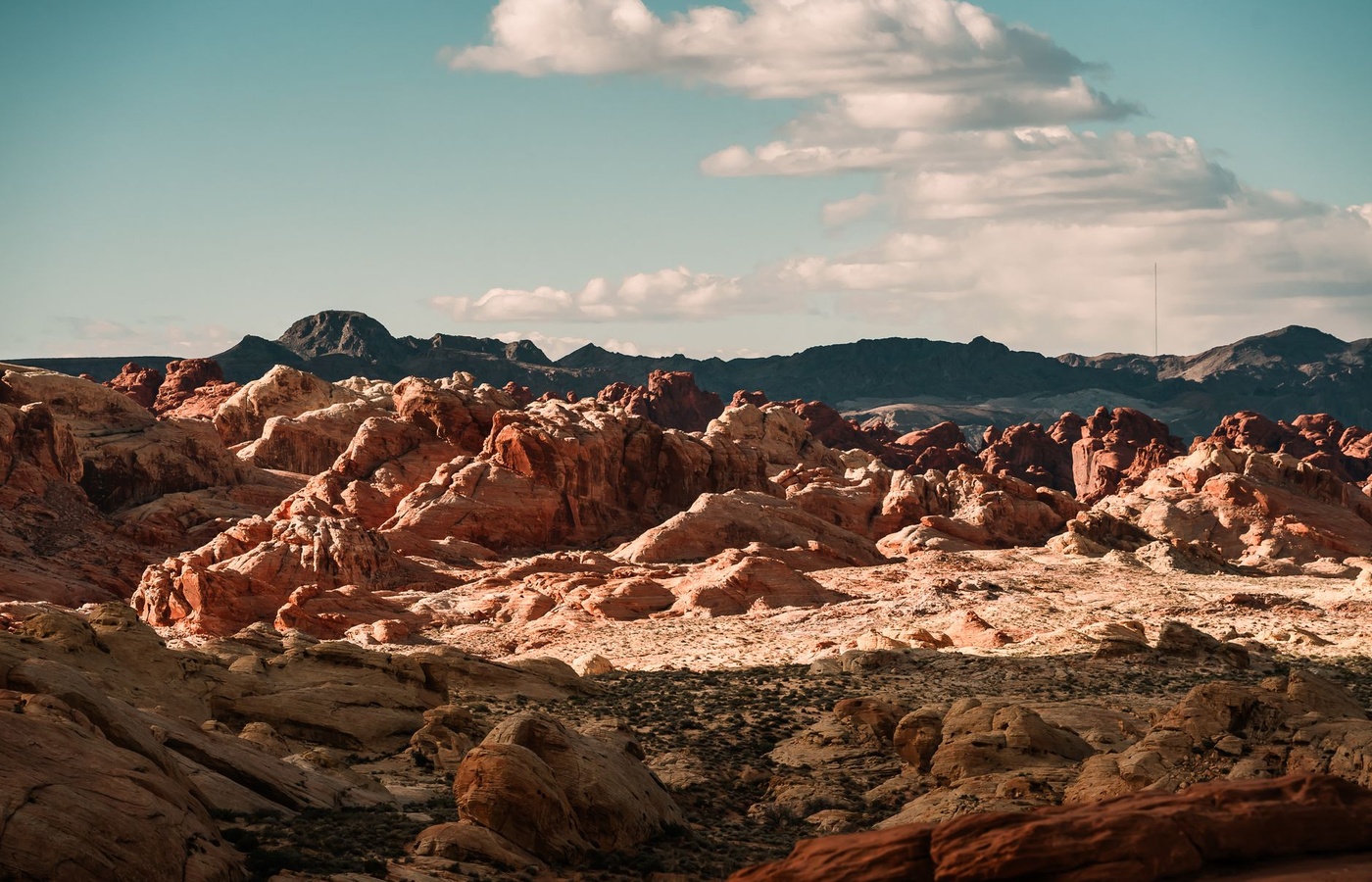 Nevada Community Manager