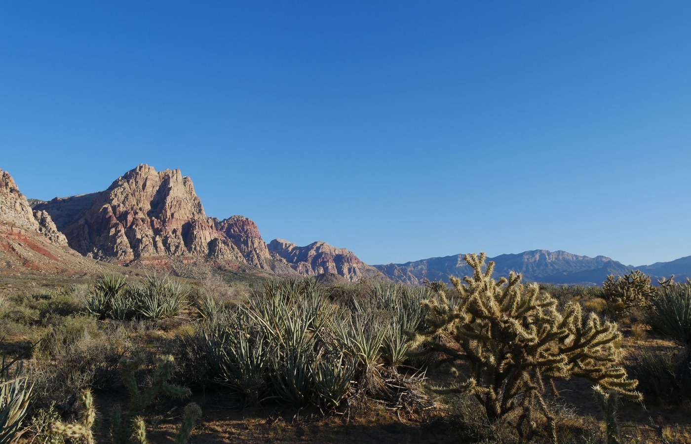 Nevada Water Well License