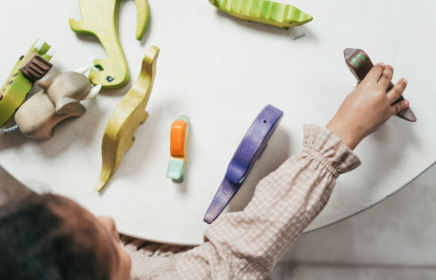Occupational Therapy Assistant