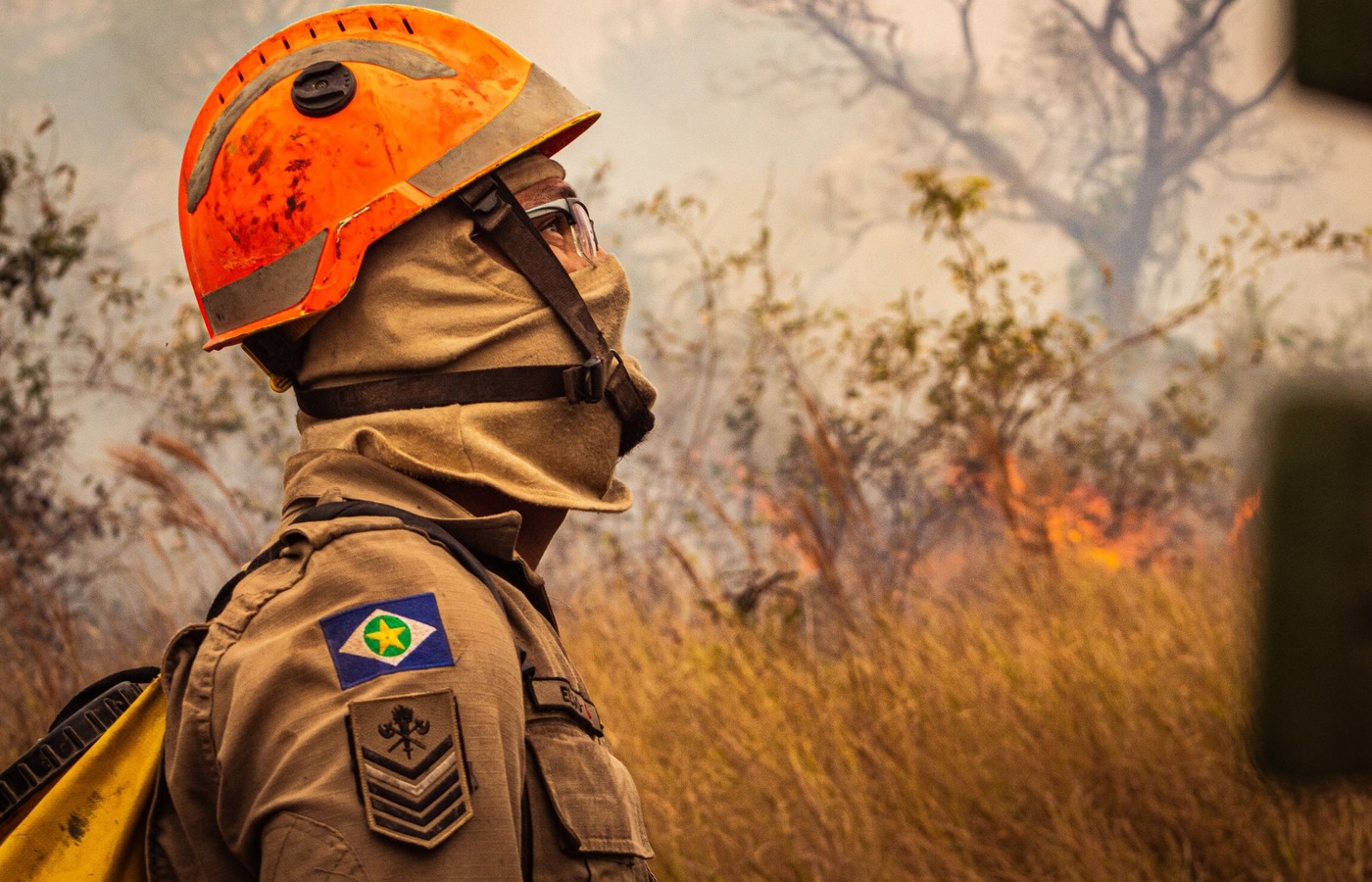OCFA Wildland Practice Exam course image