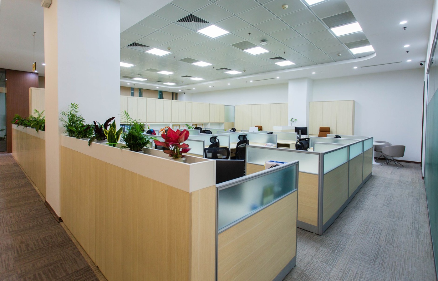 Office Administrative Assistant