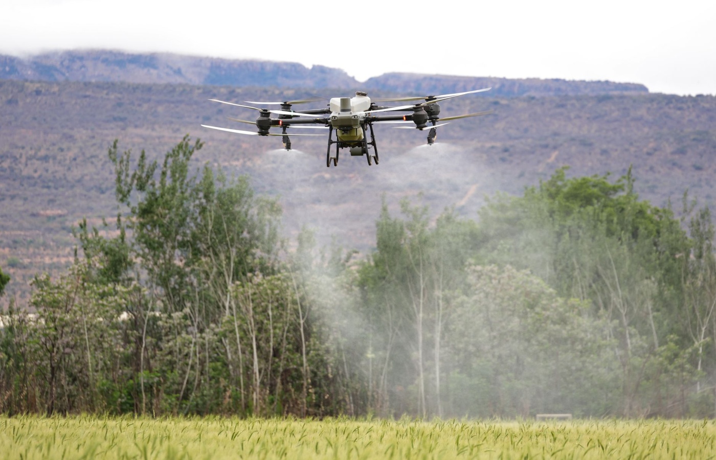 Oregon Pesticide Laws and Safety