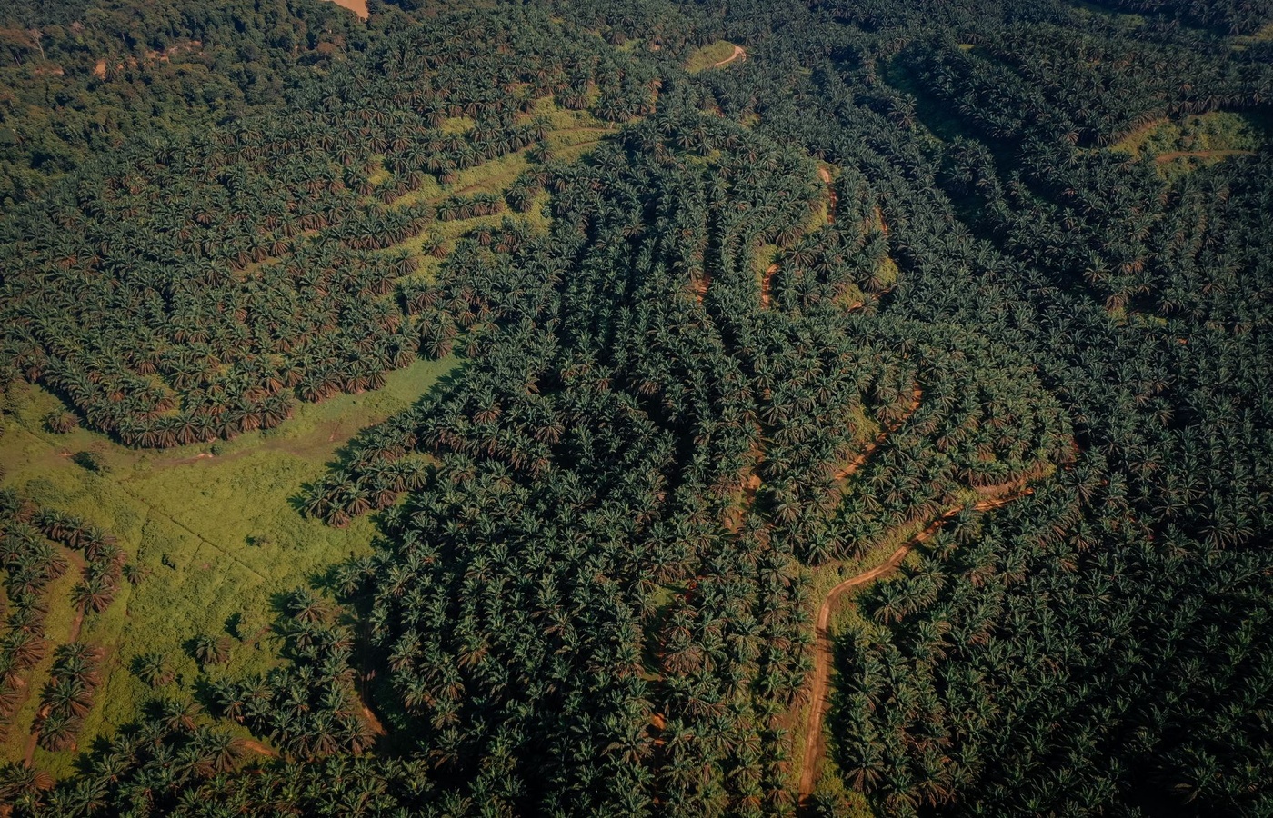Oregon Forestry Pesticide Applicator