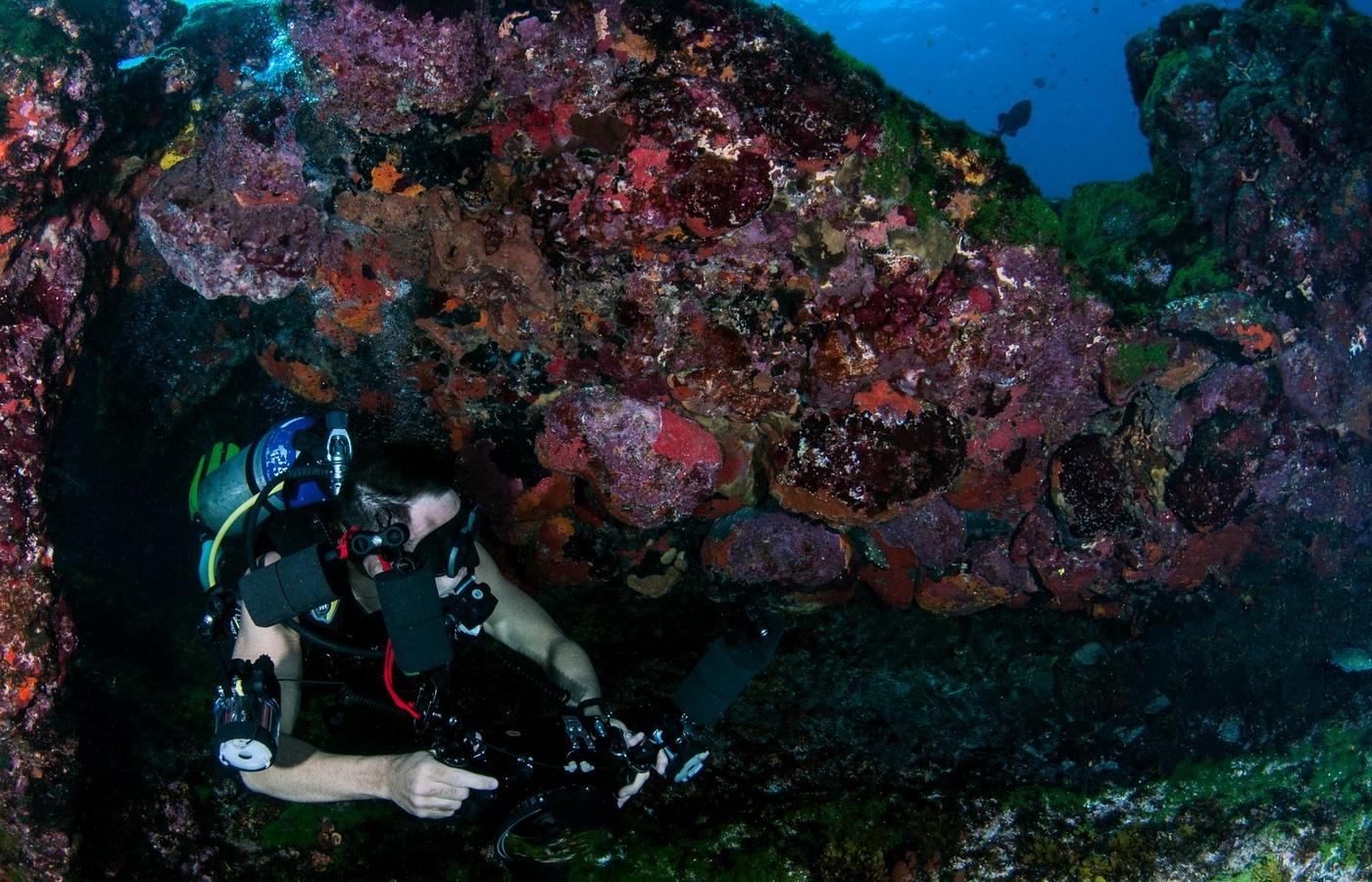 PADI Divemaster Certification