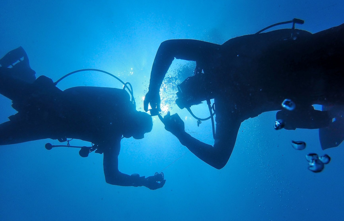 PADI Rescue Diver
