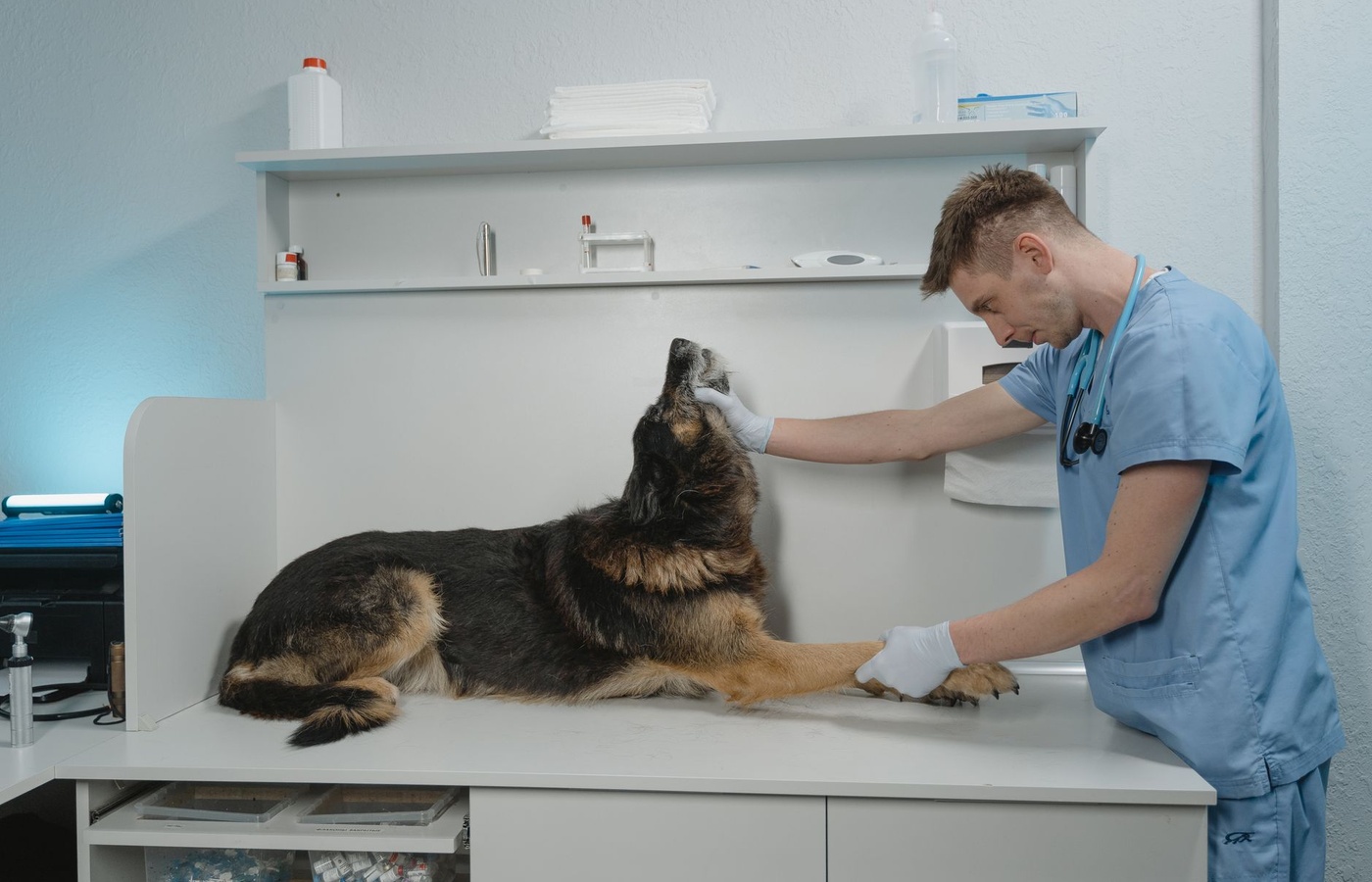 Penn Foster Veterinary Pharmacology