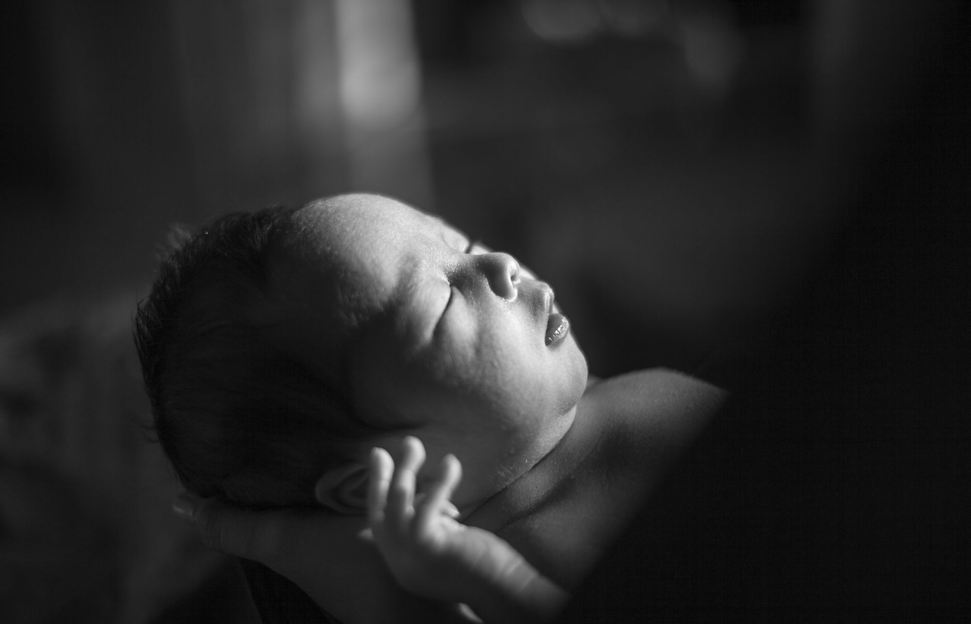 Perinatal Pediatrics and Diagnostic Skills