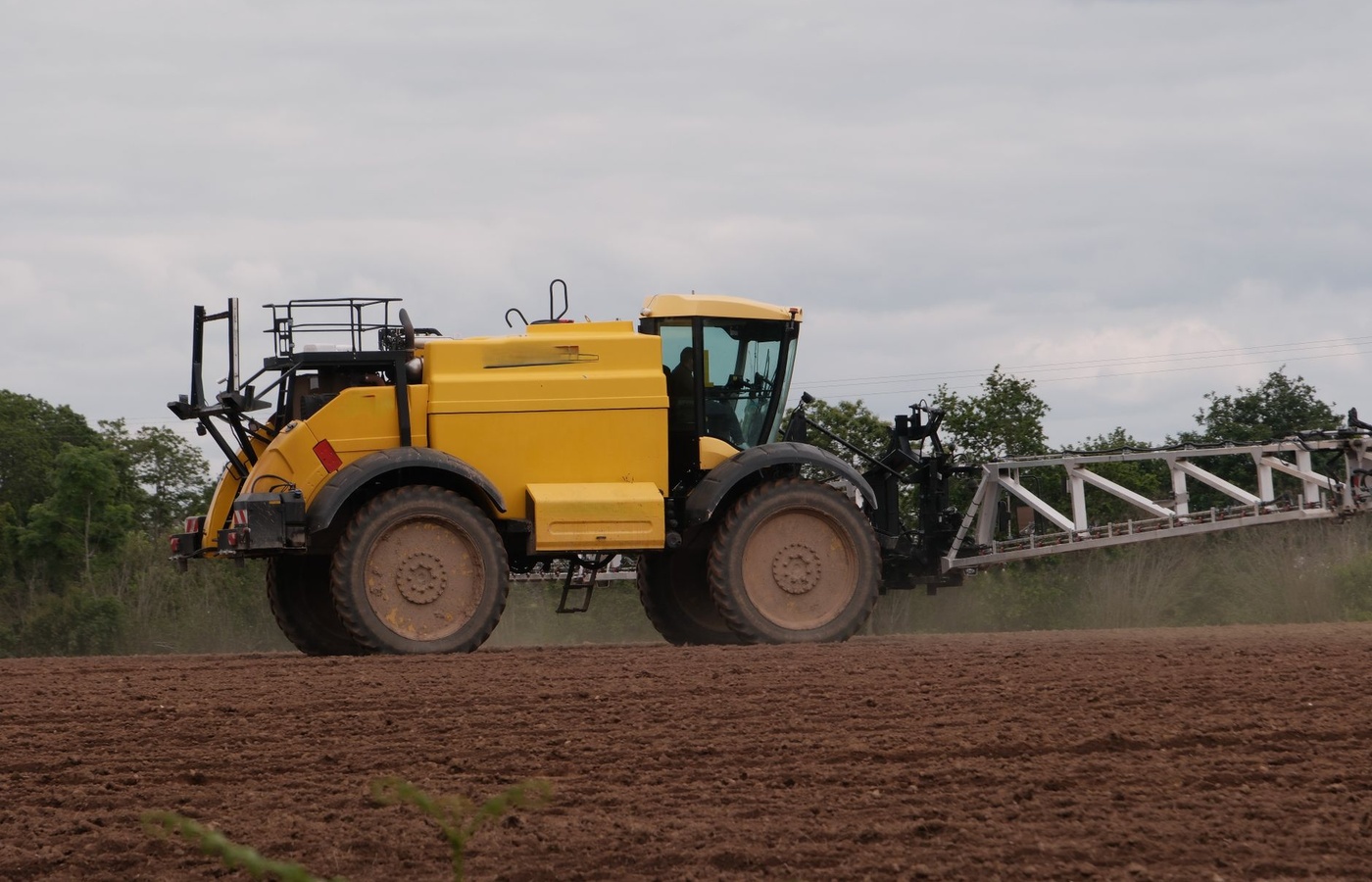 Pesticide Dealers Certification