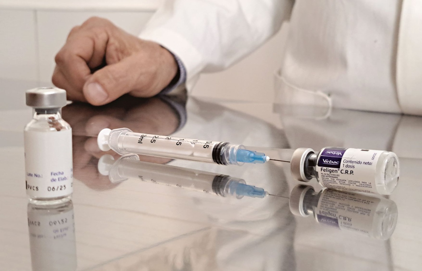 Phlebotomy and Laboratory Quality Assurance
