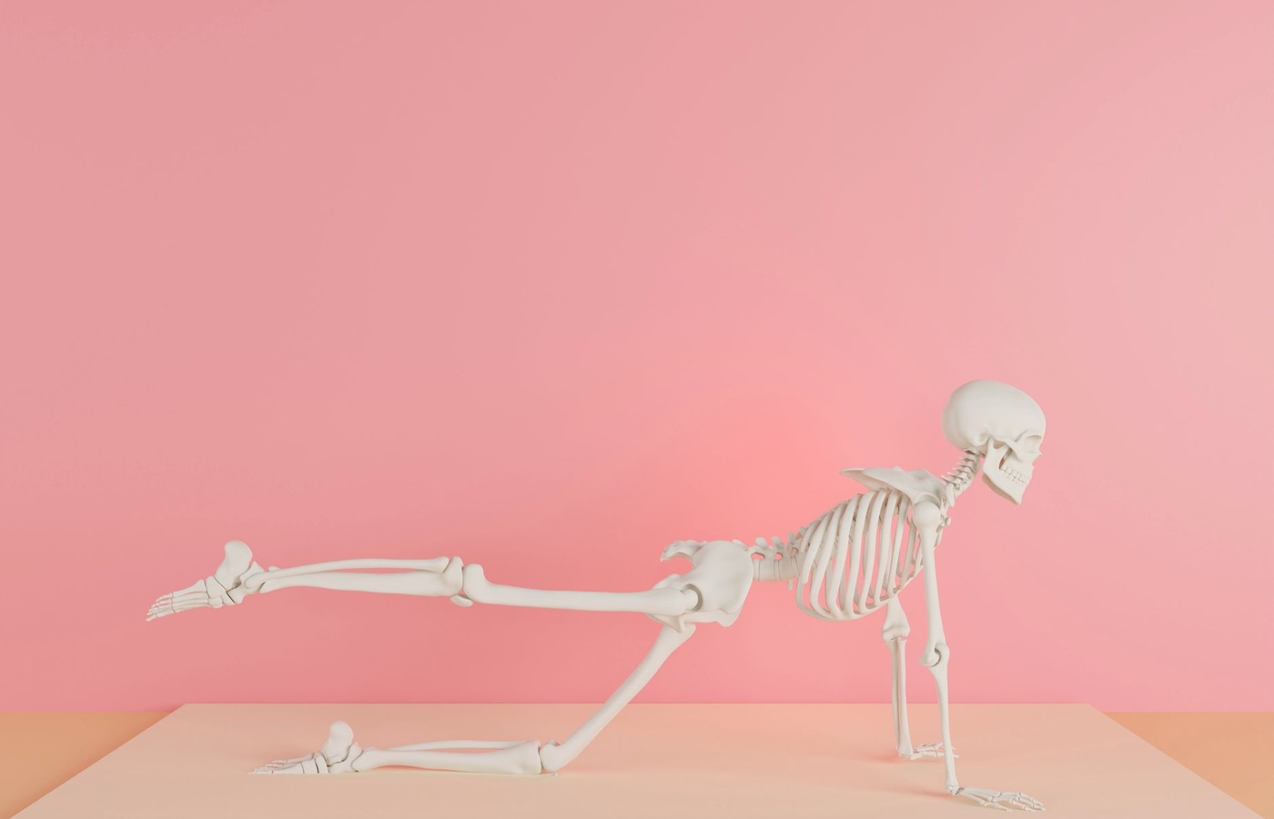 PHS 7.1 – Basic Structure of the Human Body