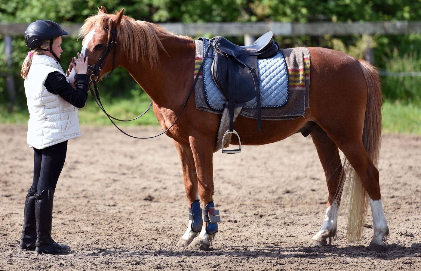 Pony Club HB Rating