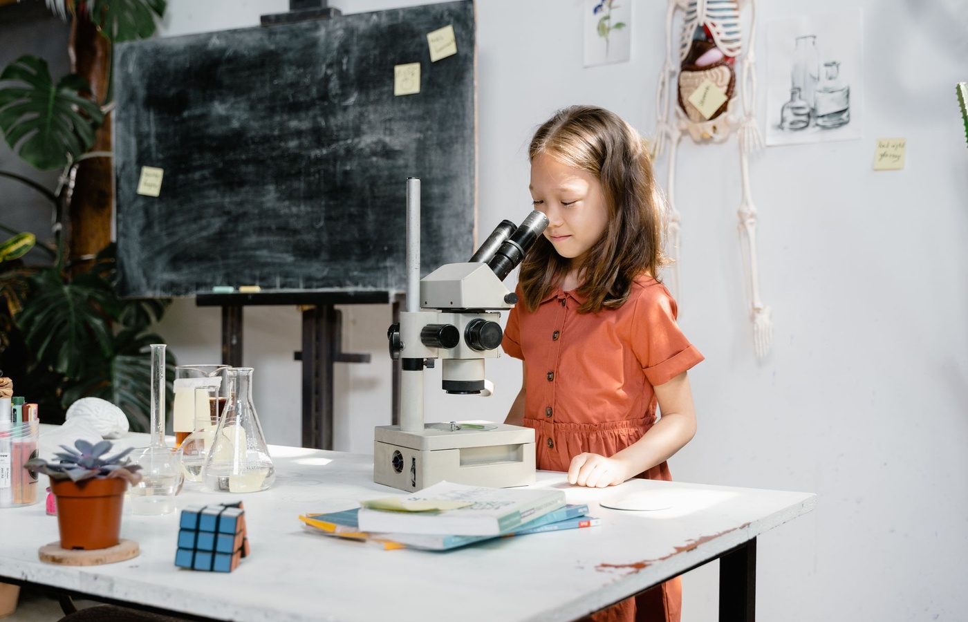 Praxis Middle School Science (5442)